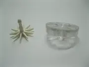 NEW Pinball Rollover Button Housing with Star Roll over insert Translucent CLEAR