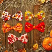 Puppy bows thanksgiving turkey bow tie dog collar slide bowtie accessory (dc16)