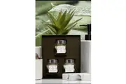 Aloe Vera Fig & Orchid Fragrance Face Care Set