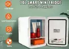 Mini Fridge,10L/12 Can Luxury Skin Care Refrigerator, Small Beverage Fridges New