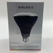 New Savant BR30 Outdoor Colored LED Smart Bulb