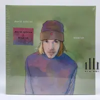 在飛比找Yahoo!奇摩拍賣優惠-David Sylvian Blemish LP 黑膠唱片