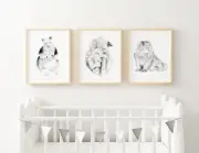 Nursery Bedroom Wall Art prints. Set of three wall decor, Koala, Wallaby, Wombat