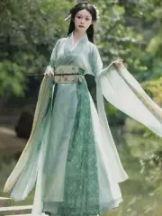Wei Jin Dynasty Green Hanfu Crossed Collars Wide Sleeved Chinese Taditional