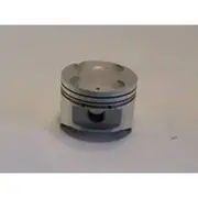 Austral Piston Set - PO1061 STD