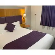 Purple Rooms