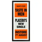 Placebo - Taste In Men Promotional Vintage Daybill Poster Framed