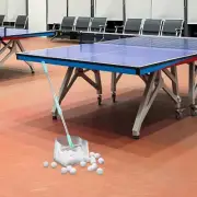 Table Tennis Ball Picker Pingpong Ball Retriever Pick Container Net