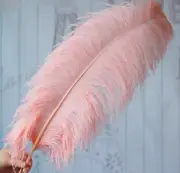 50 Pc Blush Pink Peach Ostrich Feathers 22-24 inches Instagram Popular Colors!