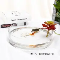 在飛比找Yahoo!奇摩拍賣優惠-玻璃魚缸魚缸 龜缸 玻璃 圓柱 圓盆 龜盆 六角龍缸 斗魚缸