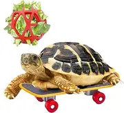 Doblopup Turtle Skateboard for Turtle/Tortoise, Red, Exercise & Feeding Toy, Skateboard
