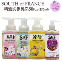 在飛比找蝦皮購物優惠-South of France 南法馬賽皂 精油洗手乳系列 