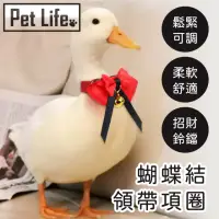 在飛比找momo購物網優惠-【Pet Life】柯爾鴨寵物鴨鸚鵡小鳥蝴蝶結領帶項圈