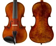 Raggetti Master Violin 6.0 Strad - 1/2
