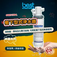 在飛比找蝦皮購物優惠-【yaffle亞爾浦】OWS120-L 櫥下型 淨水器 家用