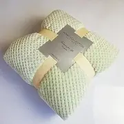 Sleepwish Mint Green Fluffy Blanket Lightweight Soft Decorative Blanket Grid Pattern Plaid Flannel Blanket Throw (40Wx47L)
