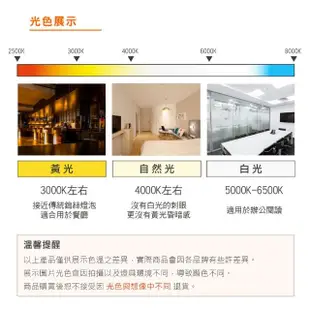 【Osram 歐司朗】LED 10W 全電壓 投光燈 附防水接線盒 白光 黃光 1入組(LED 10W IP65 投射燈)