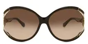 Salvatore Ferragamo SF 600S 220 A Women Sunglasses
