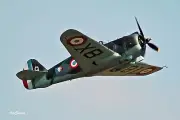 Scale Plans: Curtiss Hawk Model 75 (P-36) 38" Span .29 to .45 by Palanek