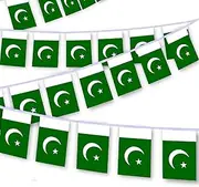 30 PCS Pakistan Flag, 33 FT Pakistani National Bunting,DecorGarden With Brass Gromment