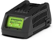 Greenworks 24V Lithium-ion Battery Charger