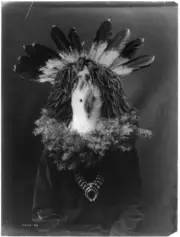 SCARY SkinWalker Blind Frog Witch ShapeShifter Native Magic Rougarou Apache LQQK