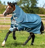 Amigo AmECO 12 Plus Turnout Blanket (100g Medium-Lite, 0g Hood)