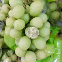 在飛比找蝦皮購物優惠-秘魯甜地球葡萄7公斤一箱（年節送禮）另有美國綠無籽葡萄