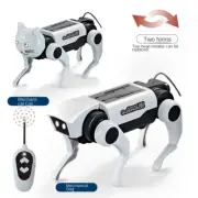Remote Control DIY Mechanical Dog Toy – Interactive Walking Robot for Kids