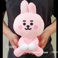 在飛比找蝦皮購物優惠-Bts Chimmy Cooky 塔塔 Rj 錦鯉芒坐娃娃