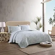 [Tommy Bahama] Queen Quilt Set, Reversible Cotton Bedding with Matching Shams, Coastal All Season Home Decor (Palmday Light Green, Queen)