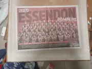 essendon bombers poster newspaper 2025