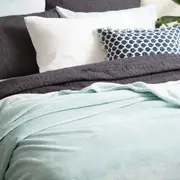 Renee Taylor Plush 380 GSM Ultra Soft Velvet Blanket - BLUE