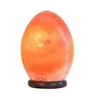 12V 12W Egg Himalayan Pink Salt Lamp Carved Rock Crystal Light Bulb On/Off Switc