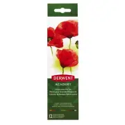 Derwent Academy Watercolour Paint Pan Tin Case 12 Assorted + Brush