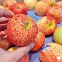 在飛比找鮮拾優惠-【舒果】南半球的蘋果產季開始囉!! 紐西蘭加拉Gala蘋果#