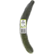 The Odd Bunch Continental Cucumber each