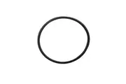 Chlorinator Cell Housing O-Ring suits many brands