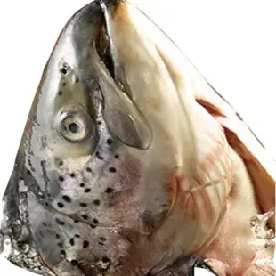 嚴選新鮮挪威現流鮭魚頭/顆(600G±10%/顆)