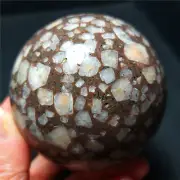 TOP 440G 67MM Natural Polished The Magic Crystal Sphere Ball Healing YWD26