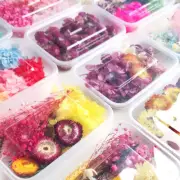 1Box Mixed Jewelry Making Craft Dried Plants DIY Accessories 1 Box Real Flowers