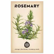 The Little Veggie Patch Co Rosemary Heirloom Seeds
