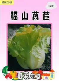 在飛比找Yahoo!奇摩拍賣優惠-【野菜部屋~】B06 福山萵苣種子3.6公克 , 又名大陸妹