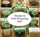 Handmade Goat Milk Soap, Choose 12, ships fast, + samples