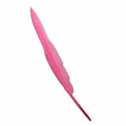 Goose Flight Wing Feather x 5 pcs - Hot Pink