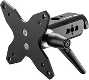 Manfrotto TetherGear VESA Monitor Mount, Screen - TV Mount, Lighting Stand Attachment, Up to 30kg, 3/8” Threaded Hole, 16mm Fem., 75x75mm and a 100x100mm VESA Compatibility, MLTSA1001B