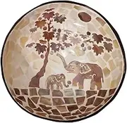 RORPOIR Natural Coconut Shell Bowl Storage Bowl for Candy Snacks Unique Nuts Holder Decorative Container for Home Office