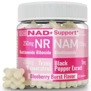 SHIZAM Nicotinamide Riboside NR NAM Resveratrol Gummies 1000mg NAD+ NAD + Plu...