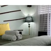 Enjoy Jamaica!!nat The Peaceful Cactus By Oasis-mn