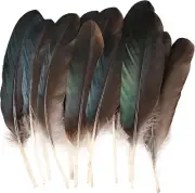 Pheasant Feathers 12 PCS Natural Feathers 8-10 Inch for DIY Crafts Hat Floral Ar